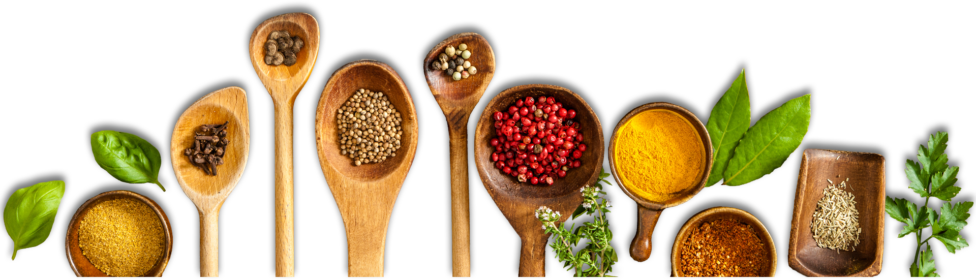 NonVegetarian-img NonVegetarian-img